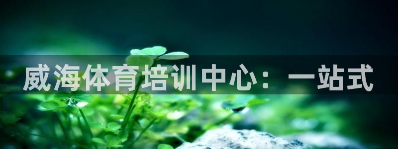 vsport体育官方正版app神州：威海体育培训中心