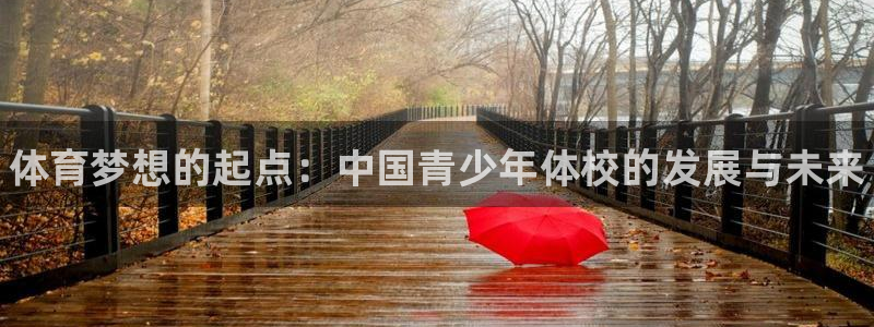 vsport体育官网下载招商电话号码是多少啊：体育梦