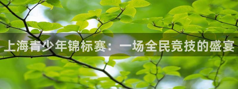 vsport体育官网下载平台注册要钱吗安全吗：上海青