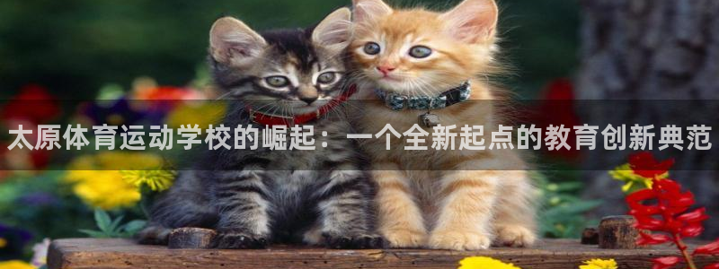 vsport体育官网下载官方客服电话：太原体育运动学