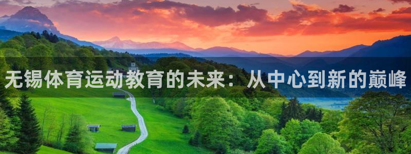 vsport体育官方正版app集团logo：无锡体育