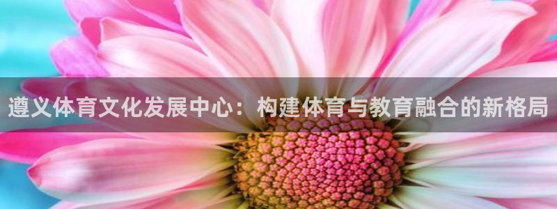 vsport体育官方正版app代理：遵义体育文化发展