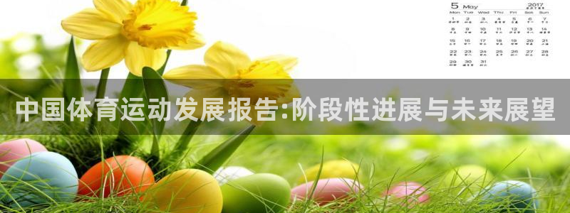vsport体育官网下载注册：中国体育运动发展报告: