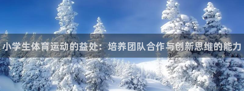 vsport体育官网下载平台注册要钱吗：小学生体育运