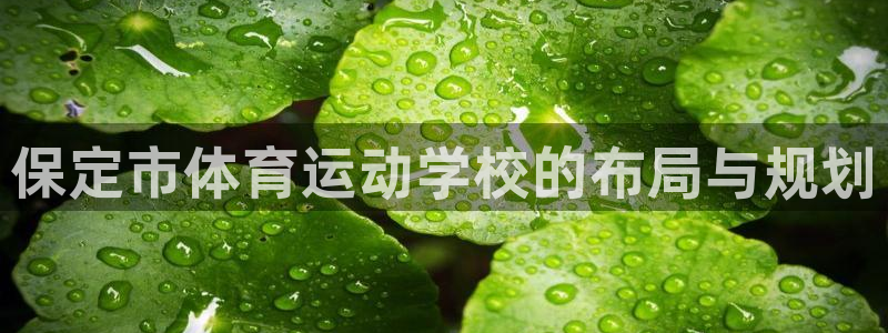 vsport体育官网下载招商电话是多少啊：保定市体育