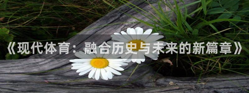 vsport体育官网下载招商电话号码查询：《现代体育：融合历