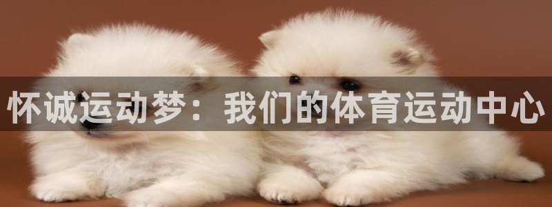 vsport体育官网下载招商电话是多少啊：怀诚运动梦：我们的