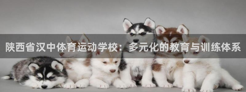 vsport体育官网下载平台注册：陕西省汉中体育运动学校：多