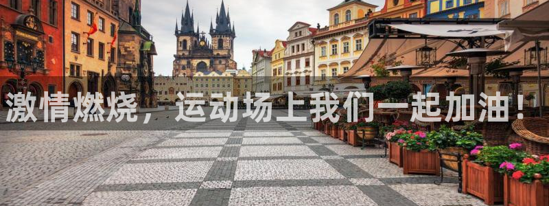 vsport体育官网下载招商电话地址查询：激情燃烧，运动场上