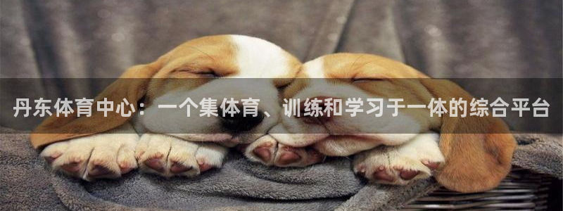 vsport体育官方正版app娱乐代理怎么样：丹东体