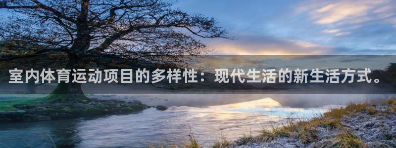 vsport体育官网下载平台注册：室内体育运动项目的