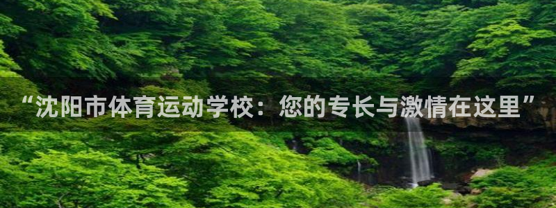 vsport体育官网下载招商电话地址查询：“沈阳市体