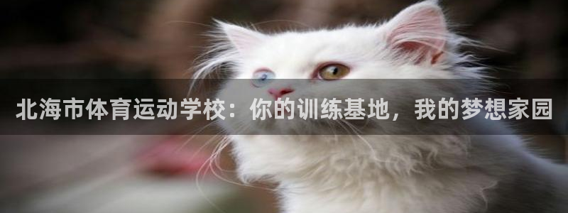 vsport体育官方正版app集团官网首页网址：北海