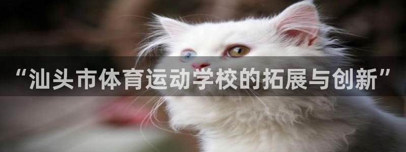 vsport体育官网下载平台APP：“汕头市体育运动