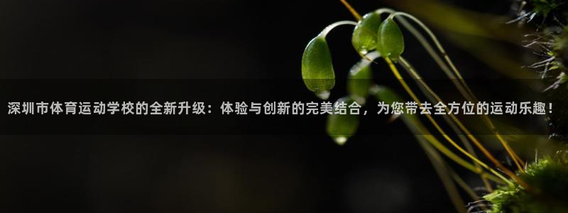 vsport体育官网下载平台是正规平台吗知乎：深圳市