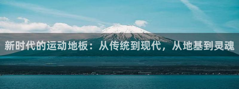 vsport体育官方正版app集团logo：新时代的
